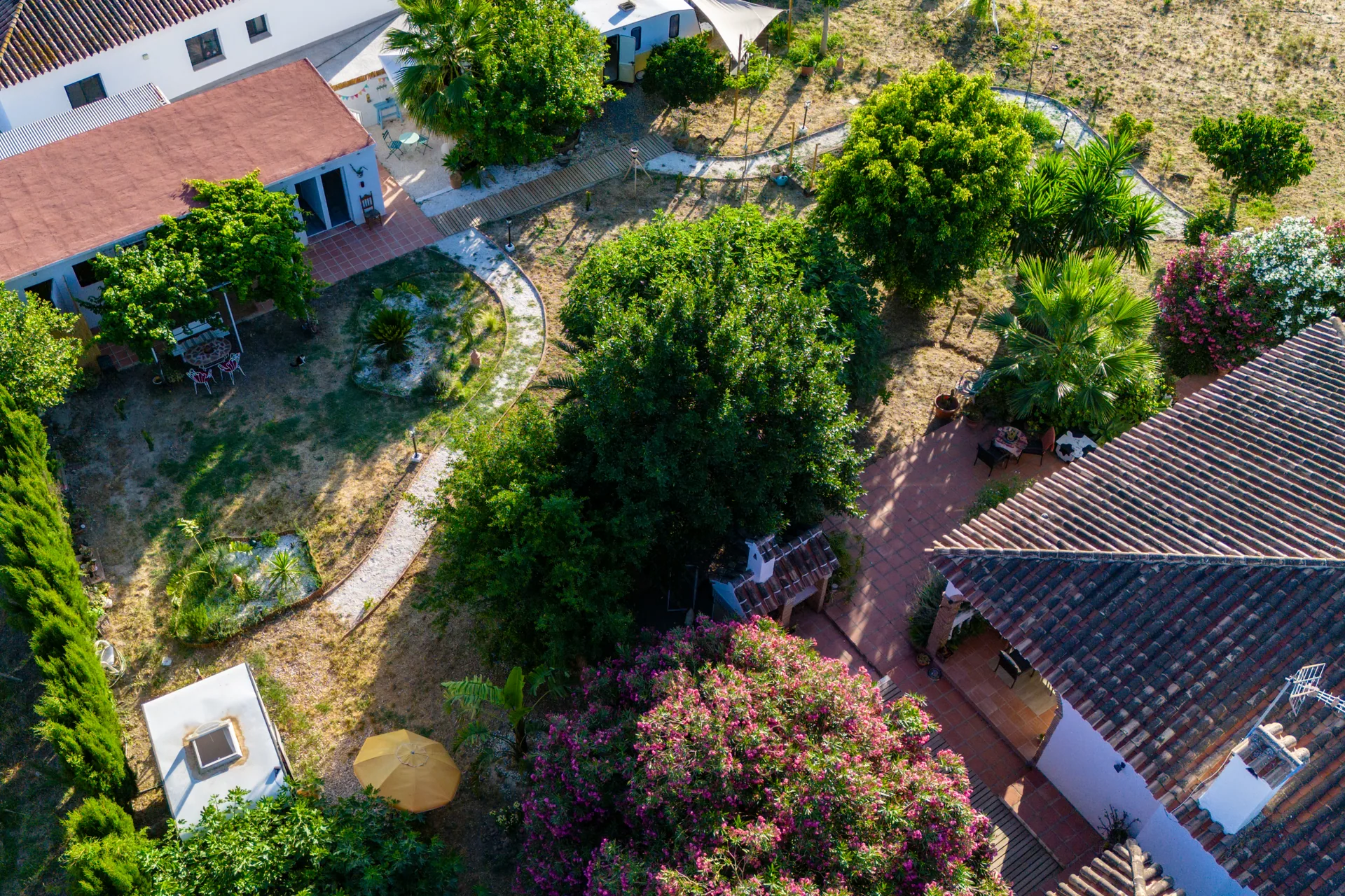 Vista aérea del jardín completo