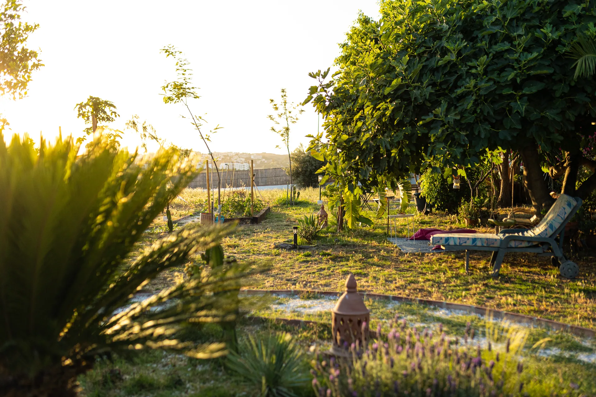 Jardín al atardecer — sombra, luz dorada y calma